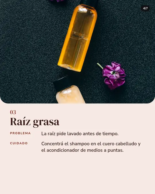 Peluquería Rulos & Co., lámina 4 de 7: Dos frascos de shampoo sin marca y flores violetas sobre fondo oscuro. Texto: 03, Raíz grasa. Problema: La raíz pide lavado antes de tiempo. Cuidado: Concentrá el shampoo en el cuero cabelludo y el acondicionador de medios a puntas.