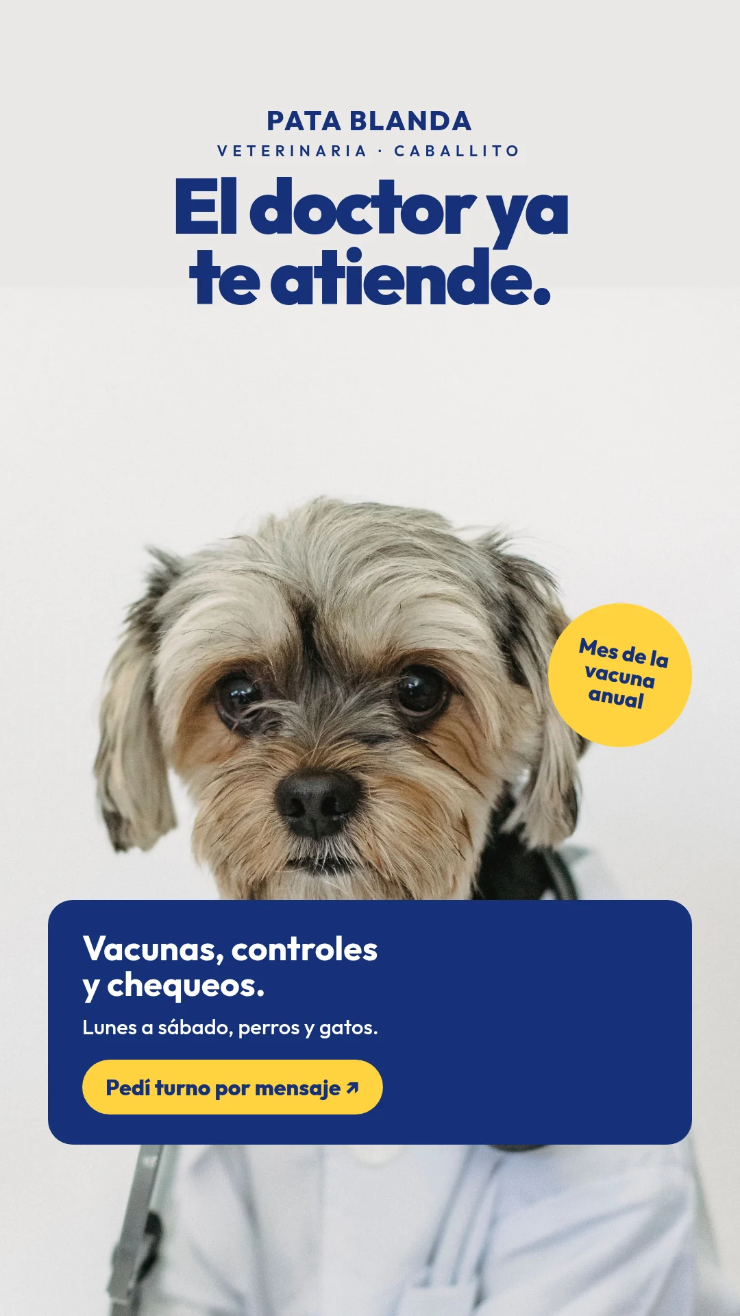 Perro con ambo médico y estetoscopio, como si fuera el veterinario. Título: «El doctor ya te atiende». Sticker amarillo del mes de la vacuna anual, tarjeta azul con vacunas, controles y chequeos de lunes a sábado, y botón para pedir turno por mensaje.